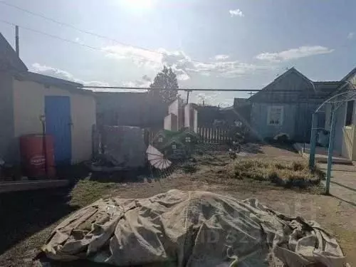 Дом в Саратовская область, Питерский район, с. Алексашкино Новая ул., ... - Фото 2