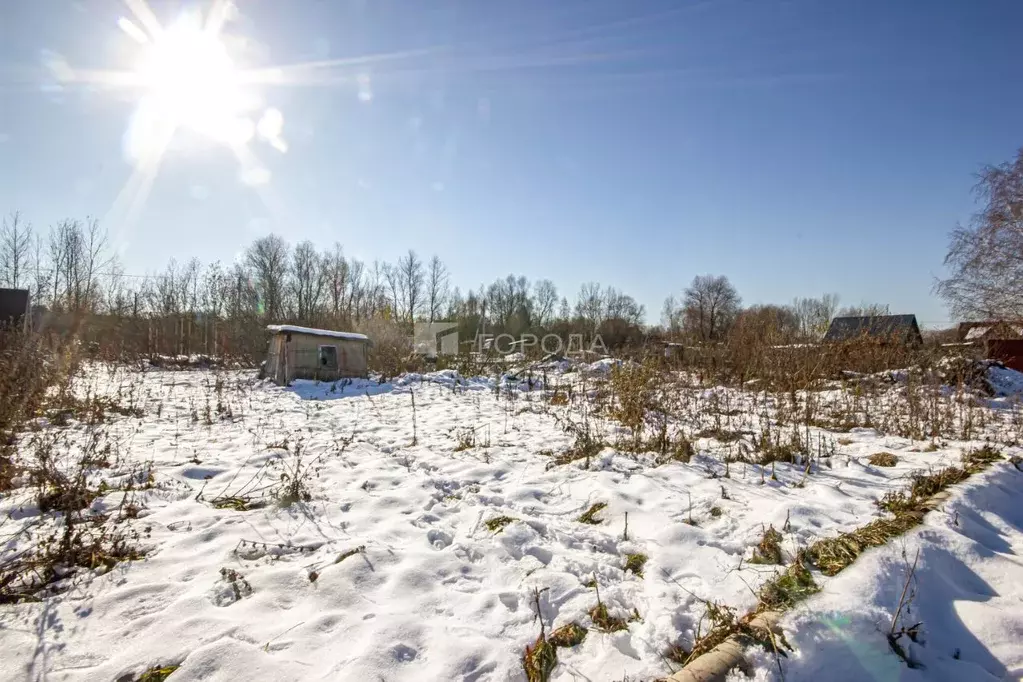 Участок в Новосибирская область, Новосибирск Дельфин СНТ, 60 (6.15 ... - Фото 1