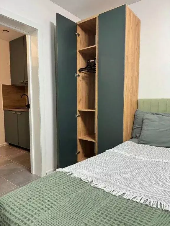 1-к кв. Московская область, Звенигород Одинцовский городской округ, ... - Фото 0