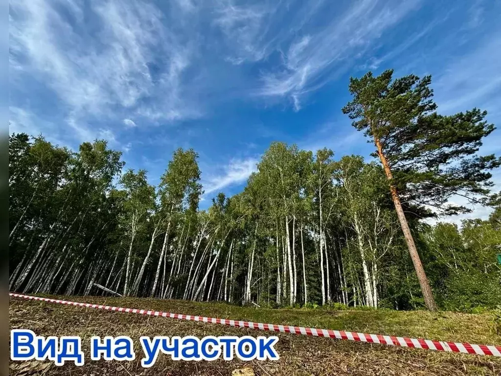 Участок в Иркутская область, Иркутский муниципальный округ, Золотая ... - Фото 0
