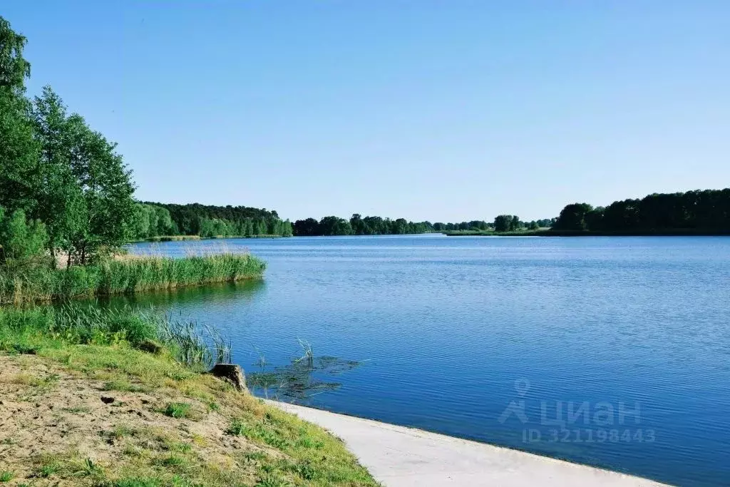 Участок в Оренбургская область, Илекский район, пос. Димитровский ... - Фото 1