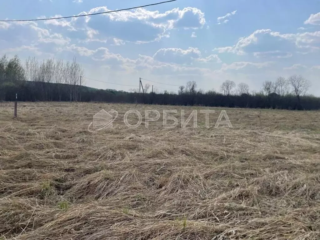 Участок в Тюменская область, Тюменский район, д. Головина  (15.0 сот.) - Фото 1