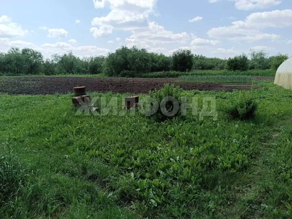 Дом в Новосибирская область, Тогучинский район, с. Дергаусово ул. ... - Фото 1