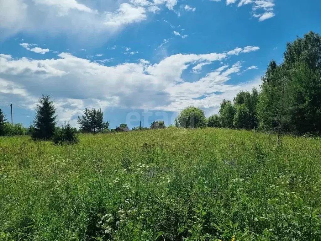Участок в Костромская область, Красносельский район, Гридинское с/пос, ... - Фото 1