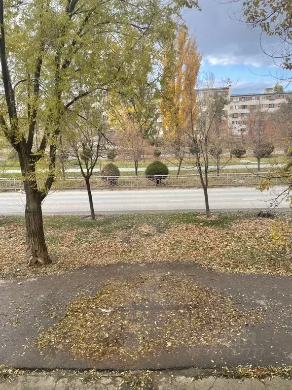 3-к кв. Волгоградская область, Камышин 4-й мкр, 8/11 (57.7 м) - Фото 2