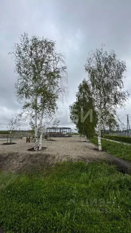 Участок в Тюменская область, Тюмень Центральная пл. (7.5 сот.) - Фото 2