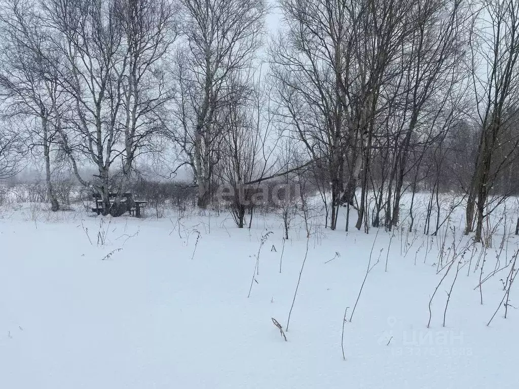 Участок в Камчатский край, Елизовский муниципальный округ, пос. ... - Фото 1