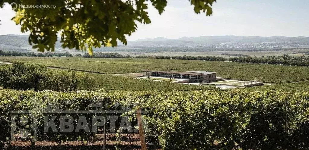 Участок в Краснодарский край, городской округ Новороссийск, хутор ... - Фото 0