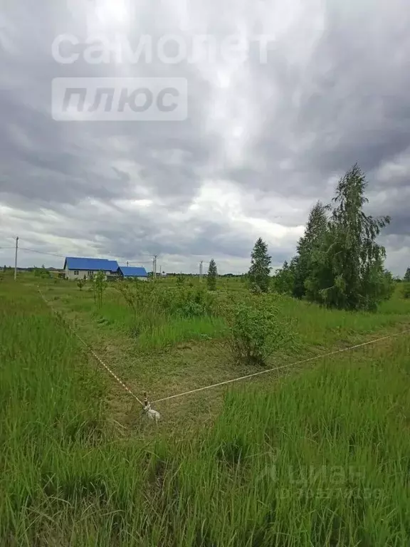 Участок в Липецкая область, Липецкий муниципальный округ, с. Сенцово ... - Фото 0