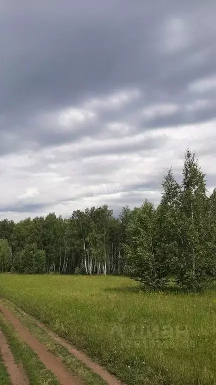 Участок в Челябинская область, Сосновский район, Кременкульское с/пос, ... - Фото 1