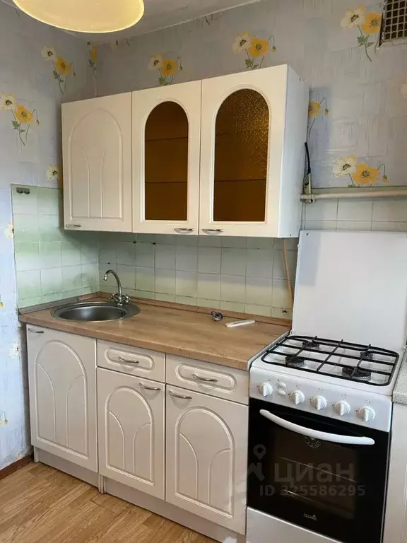 1-к кв. Псковская область, Псков ул. Волкова, 1 (30.0 м) - Фото 2