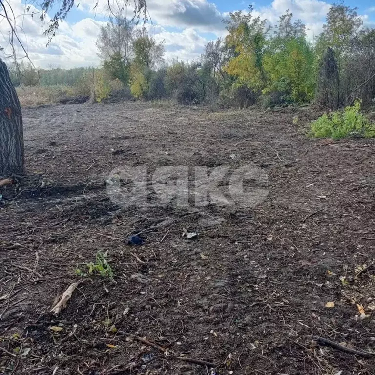 Участок в Краснодарский край, Кореновский район, Раздольная ст-ца ... - Фото 2