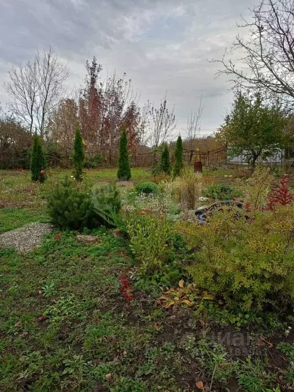 Участок в Ставропольский край, Ставрополь Грушовое садовое ... - Фото 2