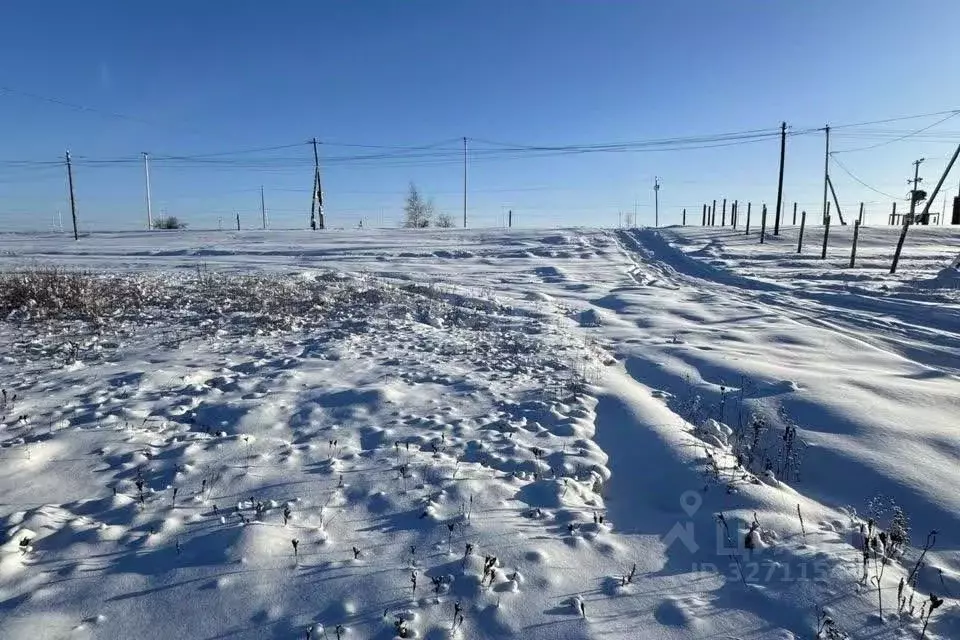 Участок в Курская область, Курский район, Новопоселеновский сельсовет, ... - Фото 1