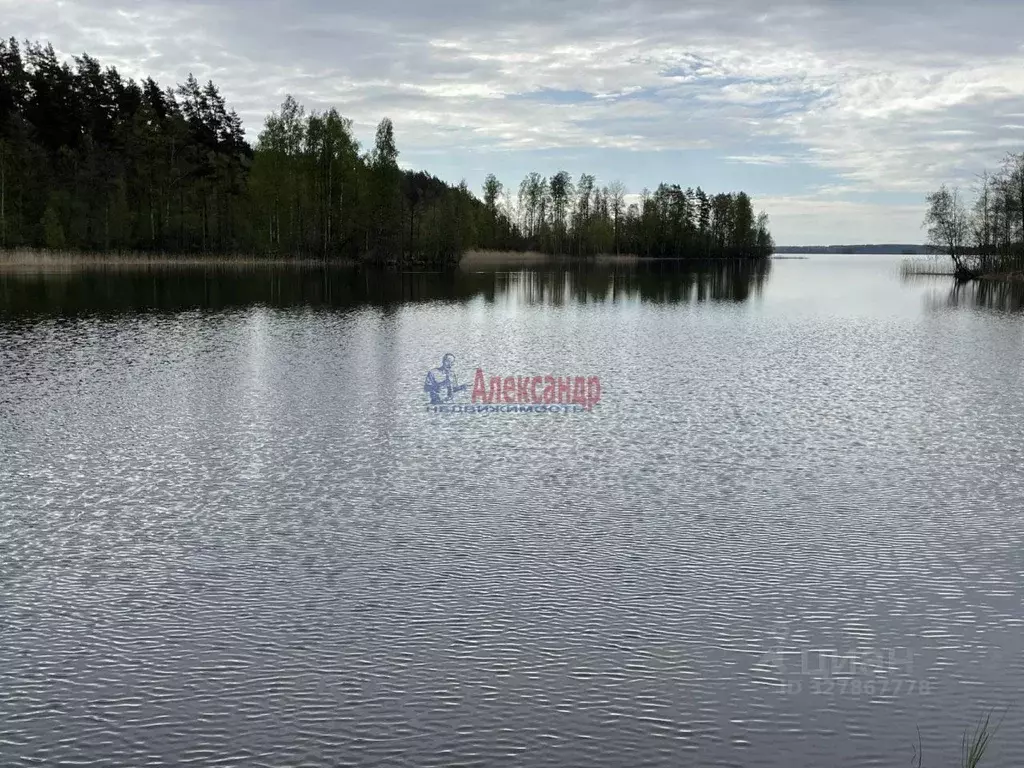 Участок в Ленинградская область, Приозерский район, Плодовское с/пос, ... - Фото 2