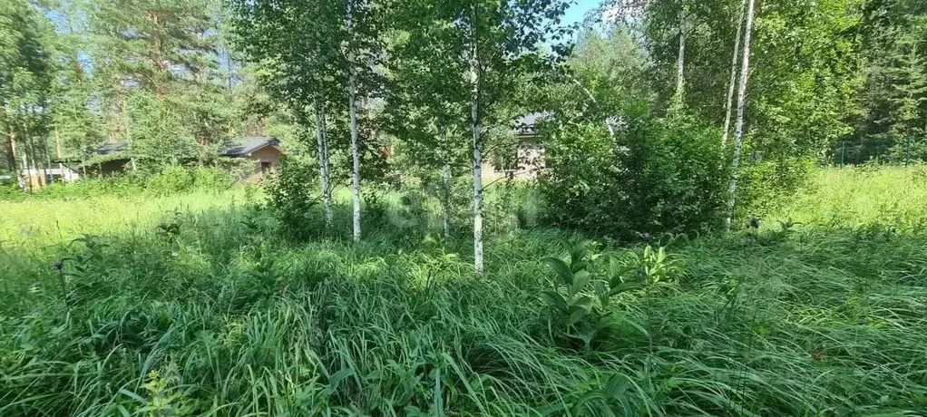 Участок в Свердловская область, Сысертский муниципальный округ, ... - Фото 1