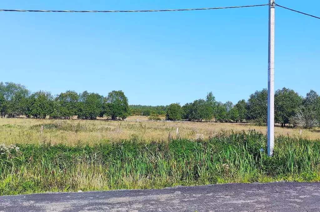 Участок в Санкт-Петербург, Санкт-Петербург, Петергоф ш. Ольгинское, ... - Фото 0