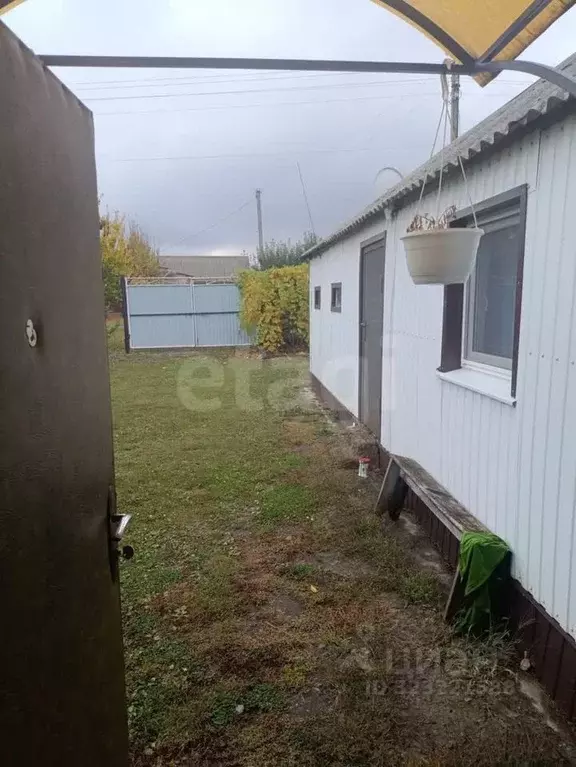 Дом в Белгородская область, Вейделевка рп ул. Березовая, 11 (35 м) - Фото 1