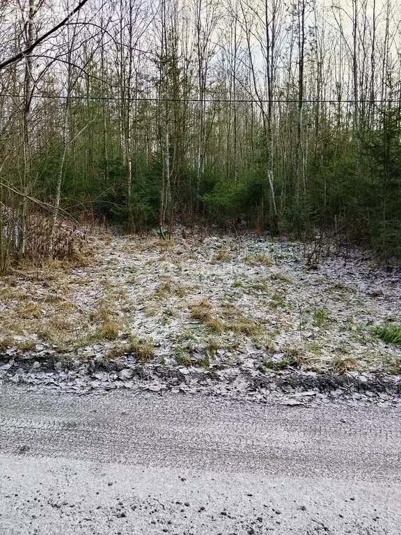 Участок в Ужесельга, Солнечная улица (15 м) - Фото 1