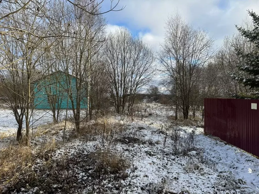 Участок в Московская область, Чехов муниципальный округ, д. Дулово 114 ... - Фото 2