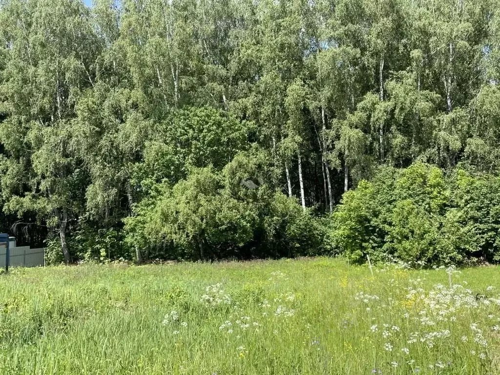 Участок в Калужская область, пос. Ферзиково ул. Луговая проезд 4 (10.0 ... - Фото 1