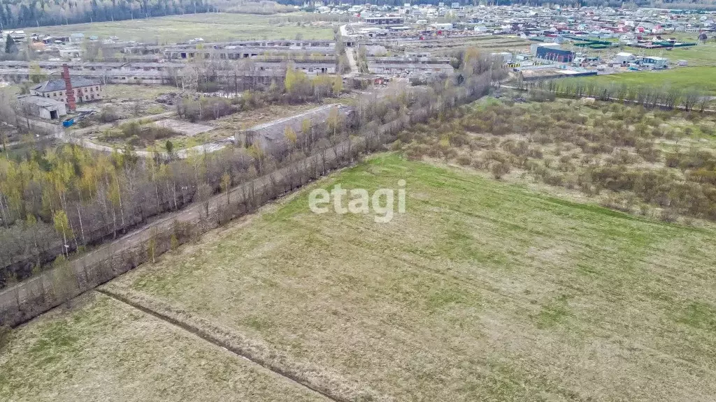 Участок в Ленинградская область, Всеволожский район, Романовское ... - Фото 0