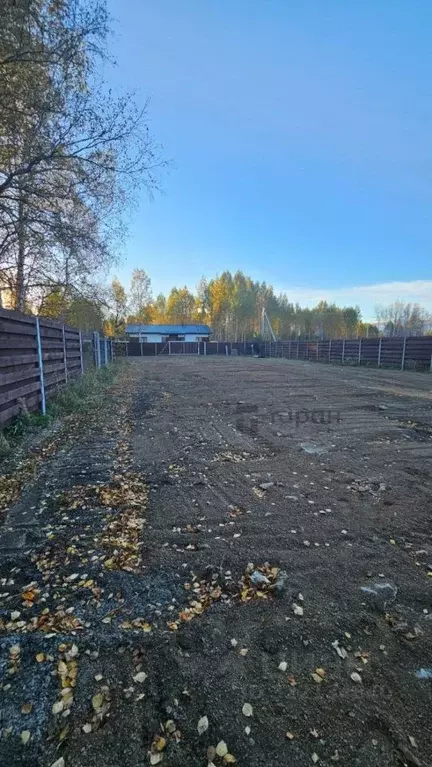 Участок в Челябинская область, Сосновский муниципальный округ, с. ... - Фото 2