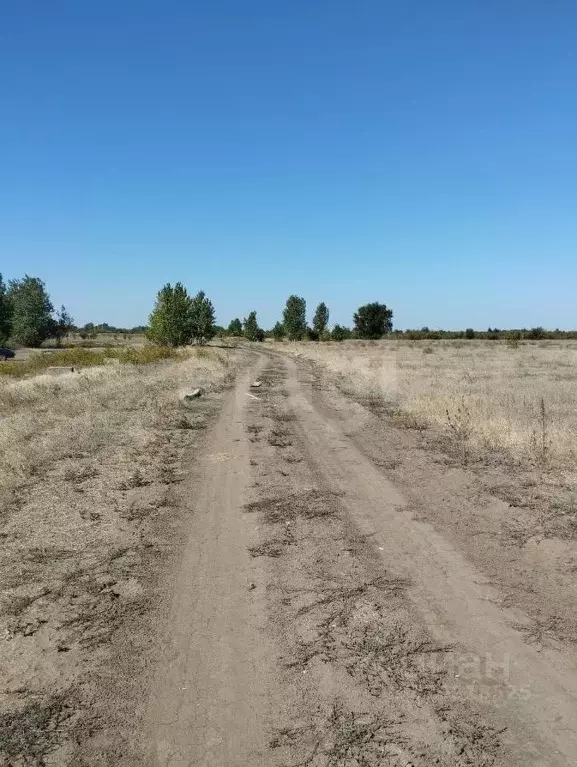 Участок в Волгоградская область, Среднеахтубинский район, Фрунзенское ... - Фото 1