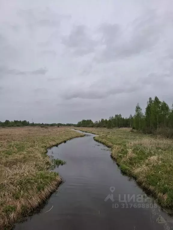 Участок в Московская область, Егорьевск муниципальный округ, д. ... - Фото 1