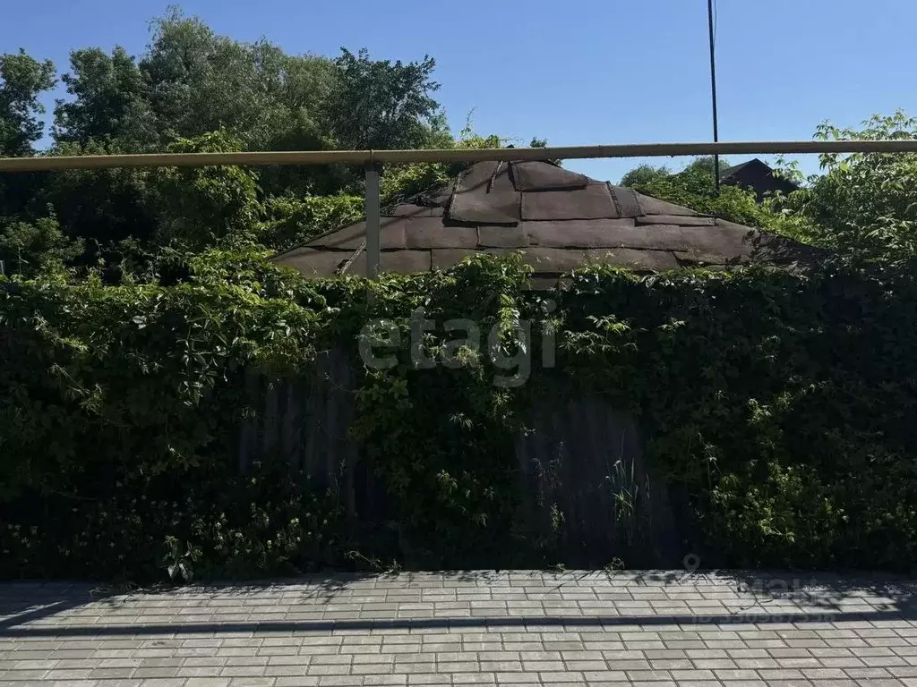 Участок в Белгородская область, Борисовка рп ул. Советская (6.0 сот.) - Фото 1