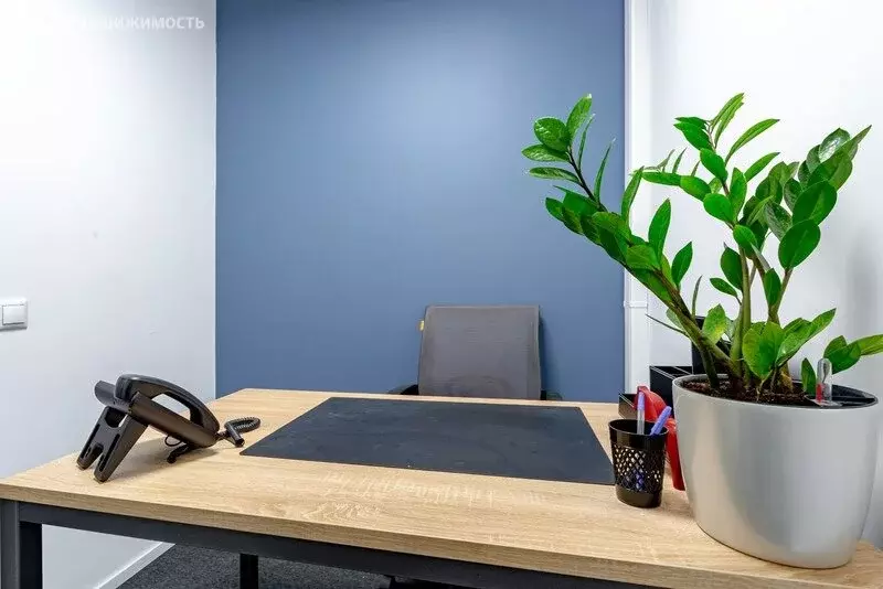 Офис (6 м) - Фото 1