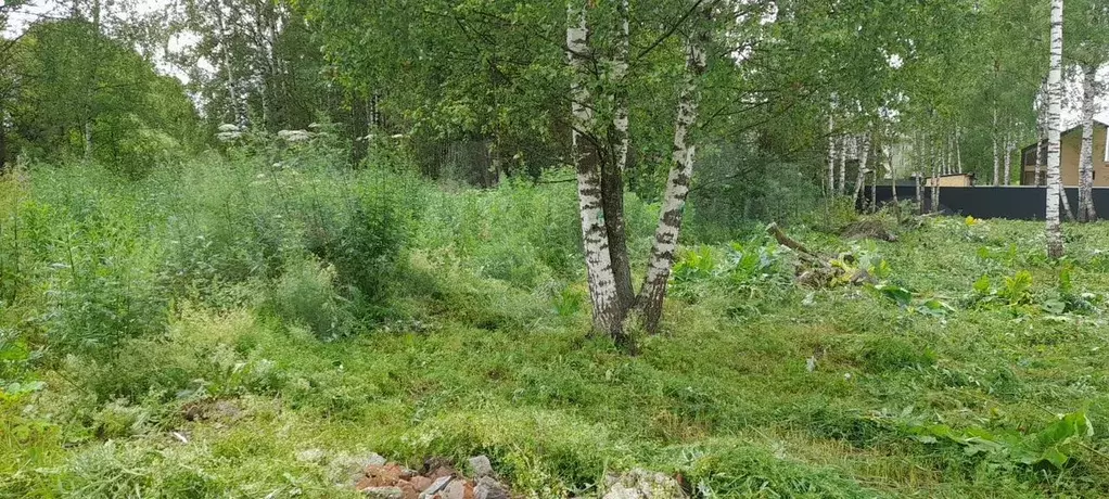 Участок 10 сот. (ИЖС) - Фото 1