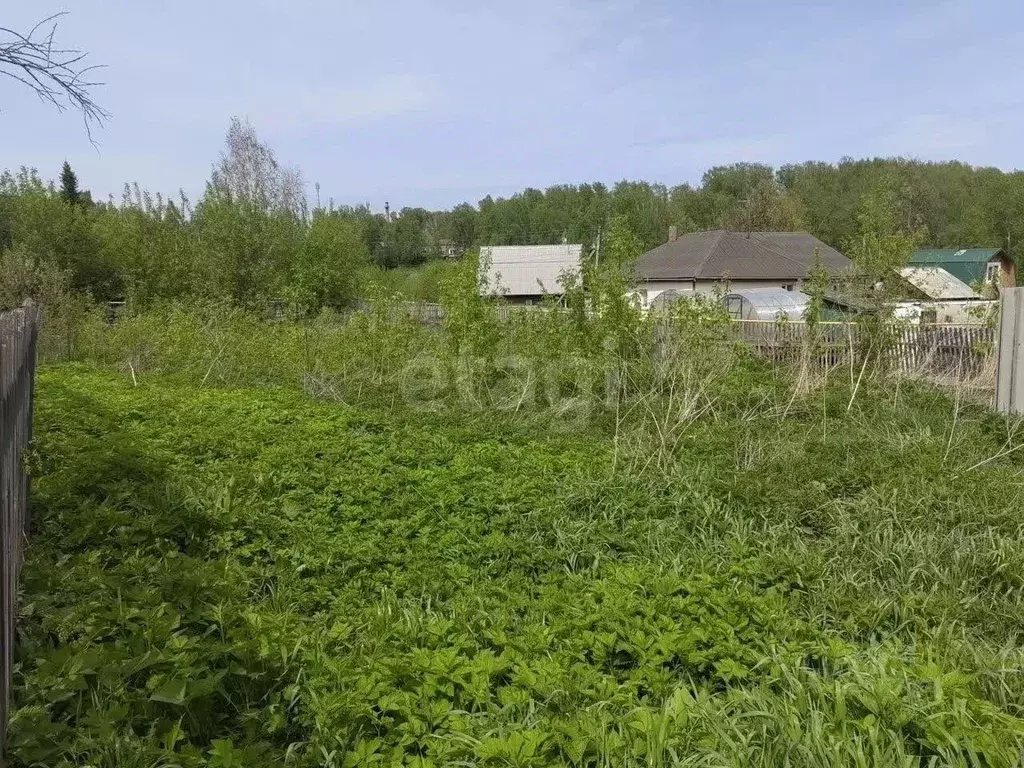 Участок в Новосибирская область, Новосибирский район, с. Раздольное ... - Фото 1