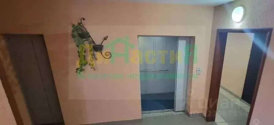 2-к кв. Белгородская область, Строитель Яковлевский городской округ, ... - Фото 1