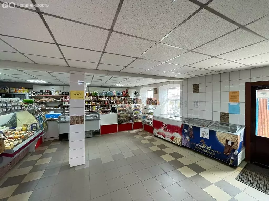 Помещение свободного назначения (260 м) - Фото 2