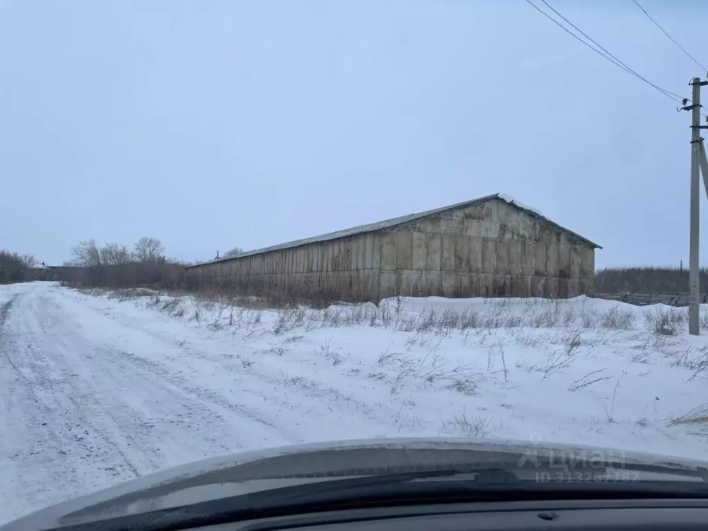 Склад в Новосибирская область, Ордынский район, д. Березовка  (1230 м) - Фото 0