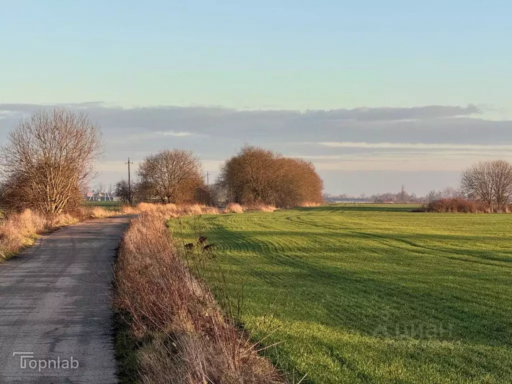 Участок в Калининградская область, Гурьевский муниципальный округ, ... - Фото 2