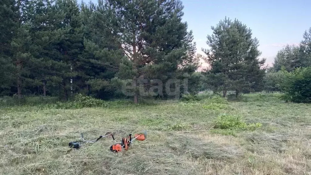 Участок в Самарская область, Волжский район, Курумоч с/пос, пос. ... - Фото 2