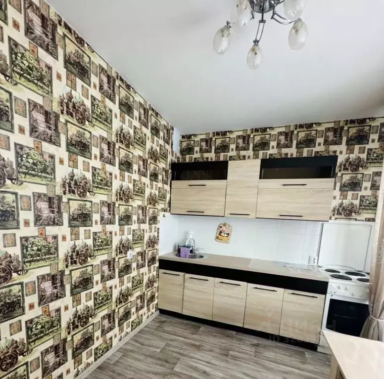 1-к кв. Новосибирская область, Новосибирск ул. Титова, 254 (33.0 м) - Фото 2