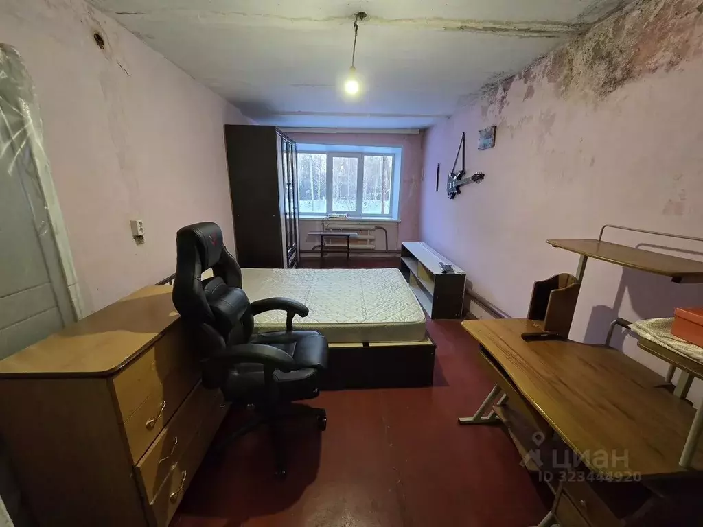 3-к кв. Новосибирская область, Черепановский район, пос. Бочкарево ... - Фото 2