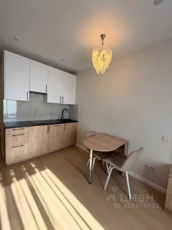 Студия Московская область, Одинцово Вокзальная ул., 31А (28.6 м) - Фото 2