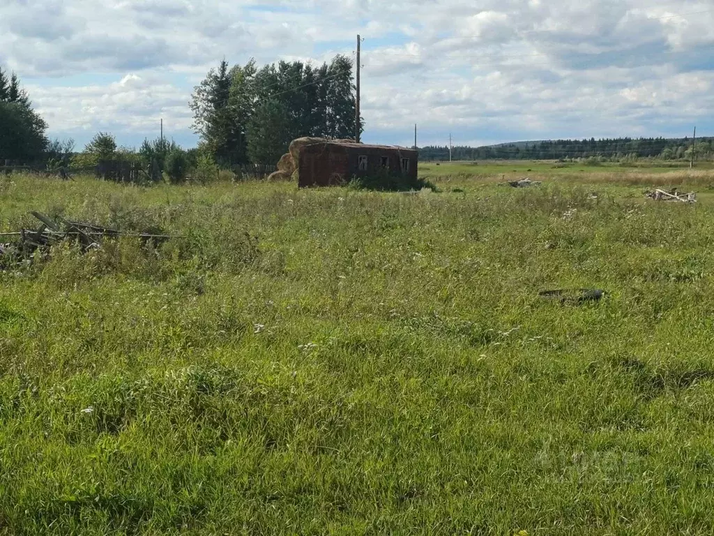 Участок в Красноярский край, Сухобузимский район, с. Шила ул. Ленина ... - Фото 1