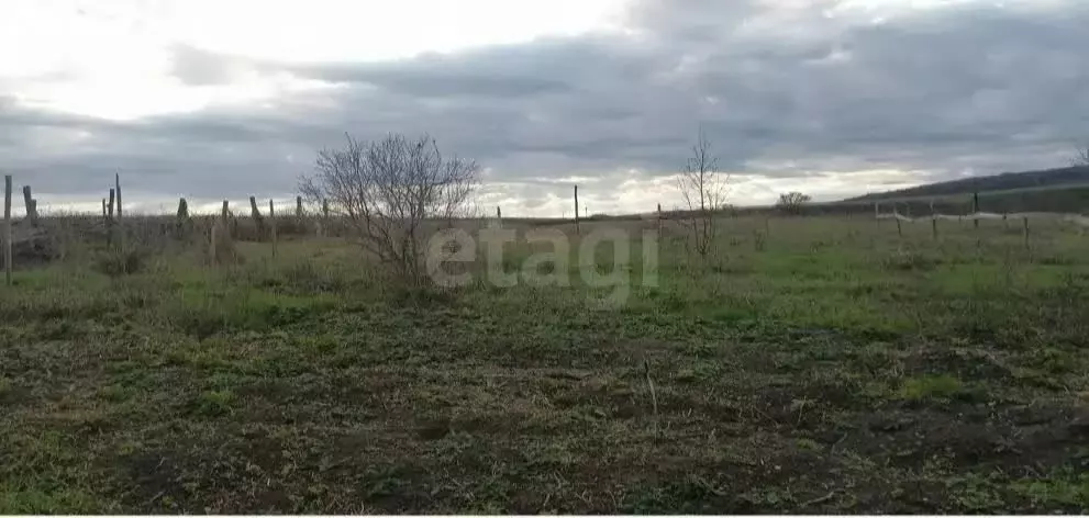 Дом в Октябрьское муниципальное образование, село Карякино, Заречная ... - Фото 2
