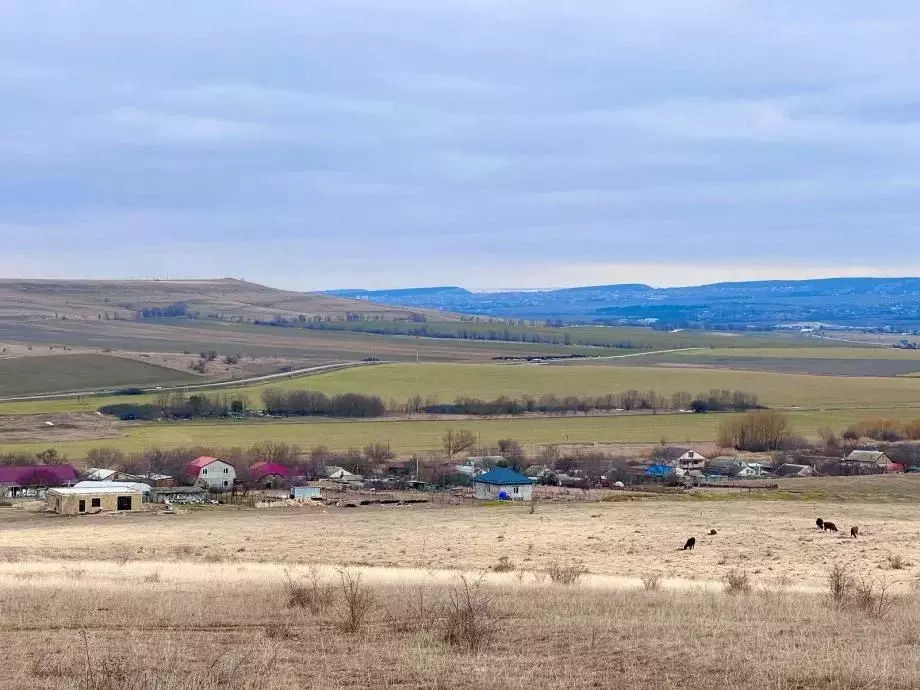 Участок в Крым, Симферопольский район, Чистенское с/пос, с. Камышинка  ... - Фото 2