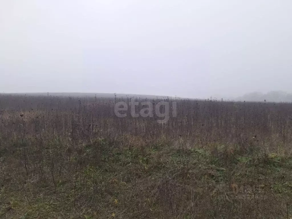 Участок в Ингушетия, Назрановский район, с. Плиево ул. Путина (10.0 ... - Фото 2