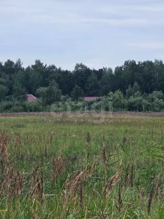 Участок в Тюменская область, Тюменский район, пос. Новотарманский  ... - Фото 1