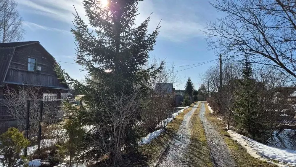 Дом в Ленинградская область, Гатчинский муниципальный округ, Учхоз ... - Фото 2