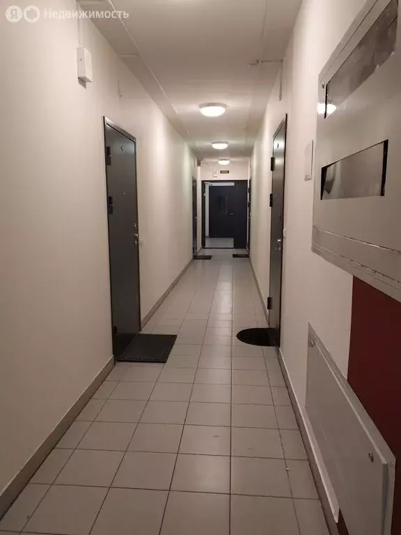 Квартира-студия: Санкт-Петербург, Мебельная улица, 49/92 (34.3 м) - Фото 2