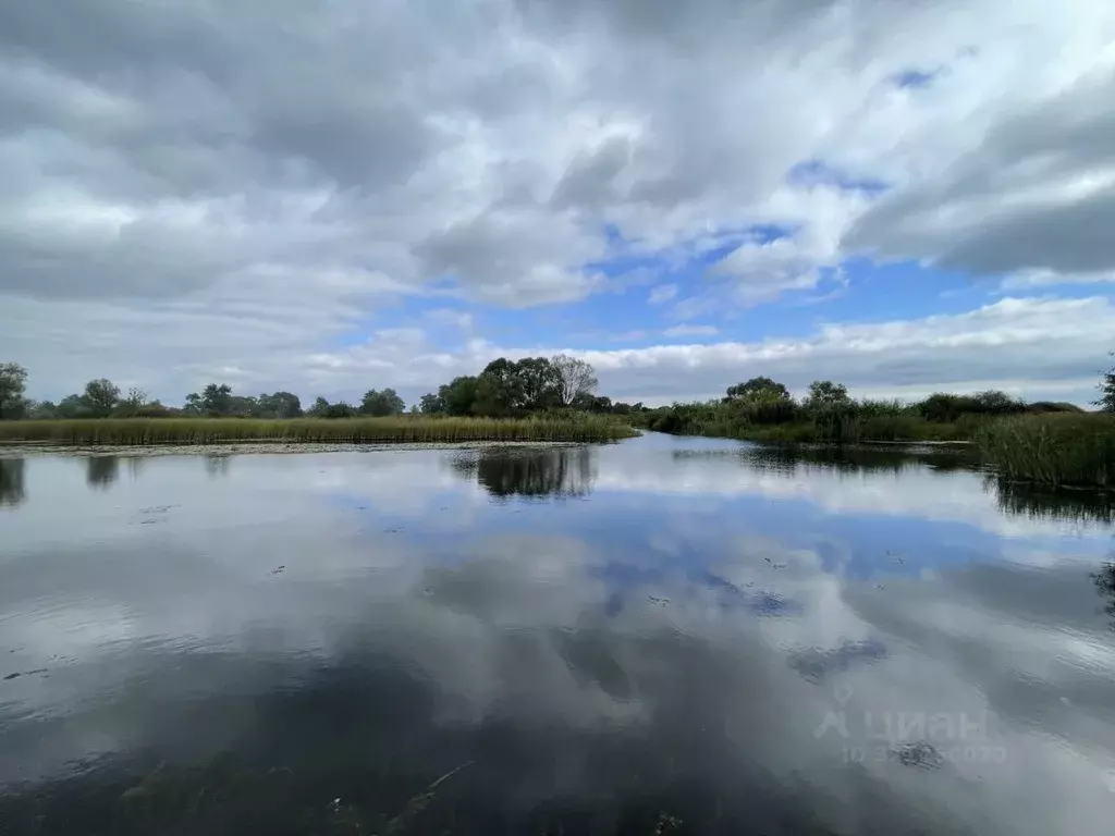 Дом в Липецкая область, Добровский муниципальный округ, с. Панино ул. ... - Фото 1
