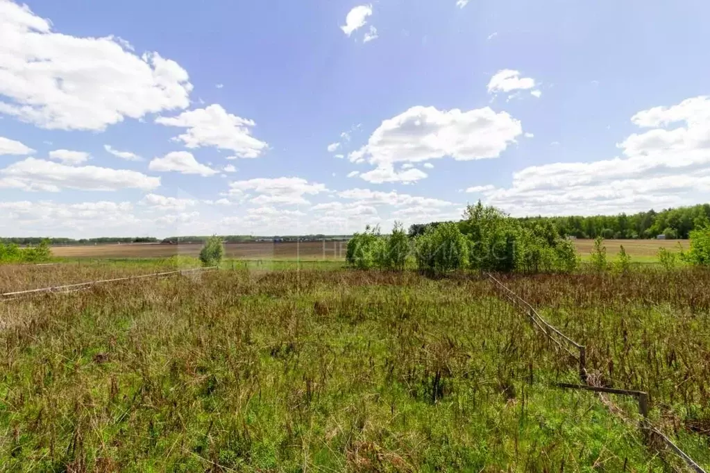 Участок в Тюменская область, Тюменский район, с. Каменка  (12.62 сот.) - Фото 1